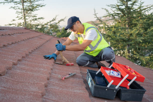 Best Gutter Installation and Roofing  in Winfield, IL