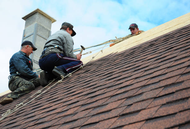 Quick and Trustworthy Emergency Roof Repair Services in Winfield, IL